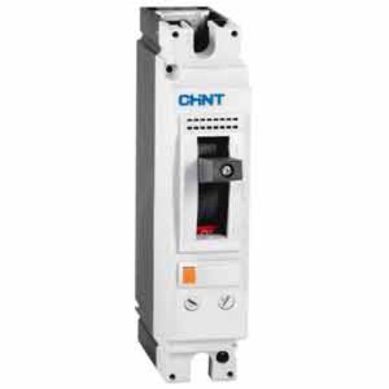 Ảnh của Áp-tô-mát khối MCCB CHINT NM8N-125C TM 100 1P 
