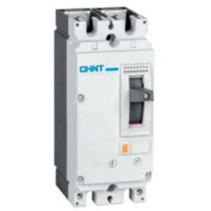 Ảnh của Áp-tô-mát khối MCCB CHINT NM8N-125C TM 100 2P 