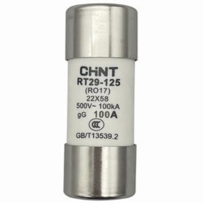 Ảnh của Cầu chì hình ống CHINT RT29-125 100A gG/gL 