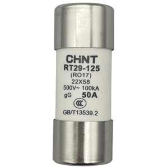 Ảnh của Cầu chì hình ống CHINT RT29-125 50A gG/gL 