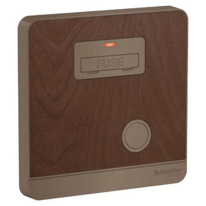Ảnh của Mặt đấu dây, cầu chì 13A Schneider E8330FSGN_WD_G19