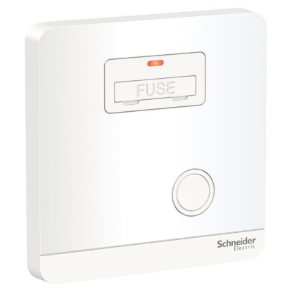Ảnh của Mặt đấu dây, cầu chì 13A Schneider E8330FSGN_WE_G19